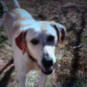 Meet your Posher, Kaden